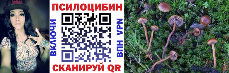 Галлюциногенные грибы Magic Shrooms  где купить наркоту  Барыш 