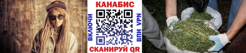 Конопля планчик Барыш